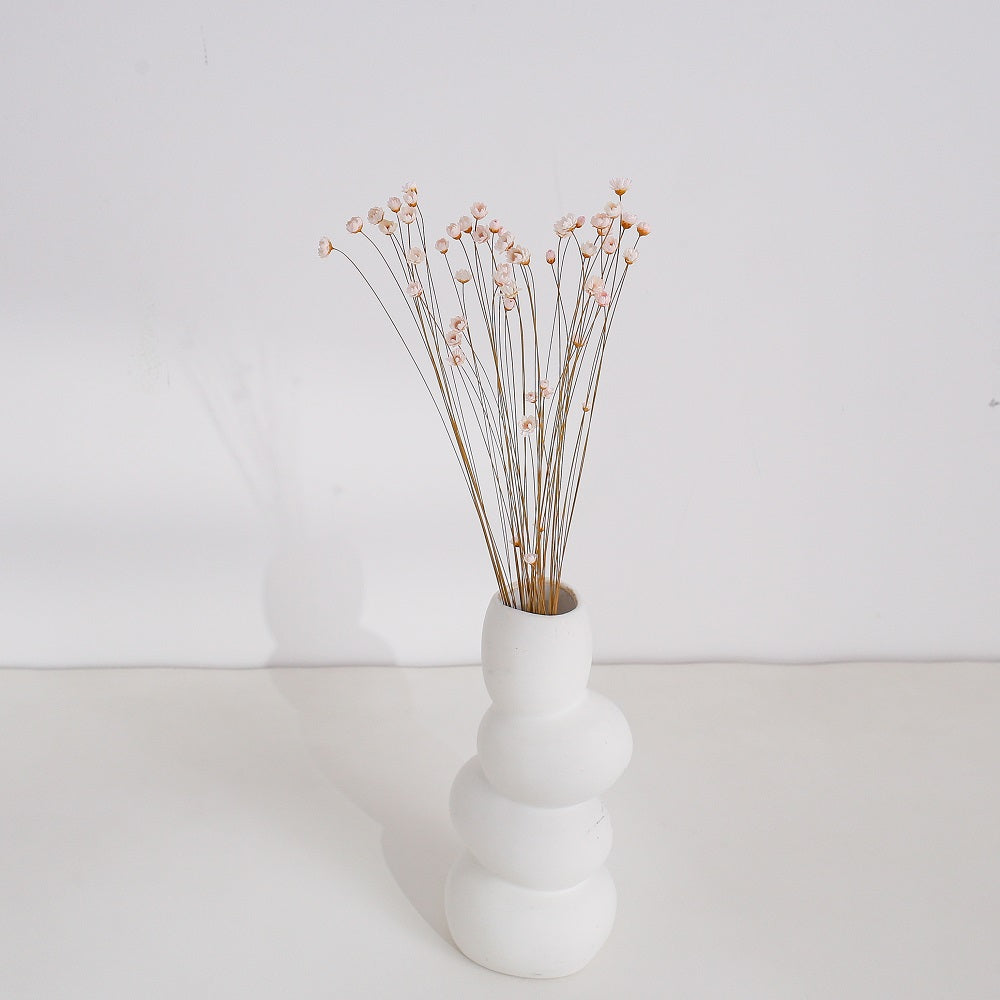 Light Pink Dried Glixia Flower