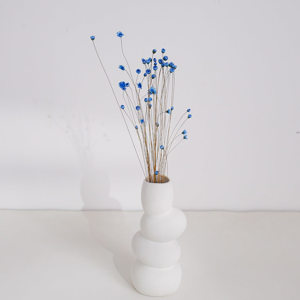 Blue Dried Glixia Flower