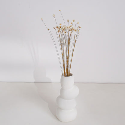 White Dried Glixia Flower