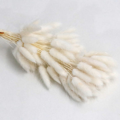 white bunny tail
