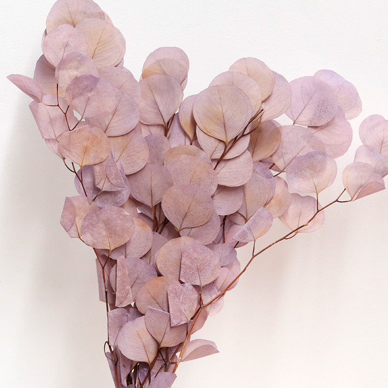 Gradient  Violet