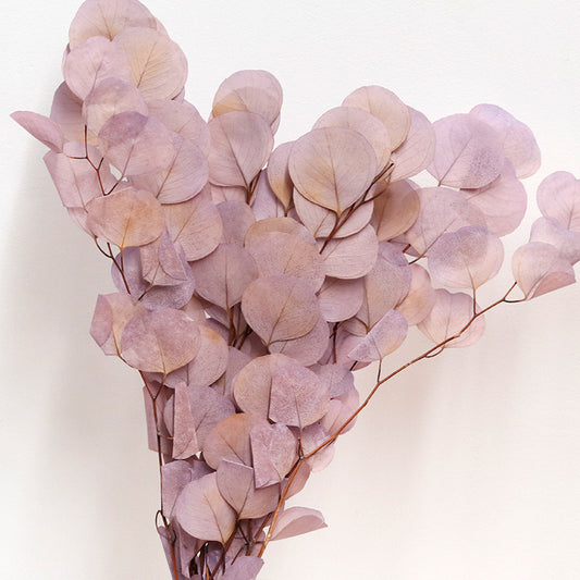 Gradient  Violet