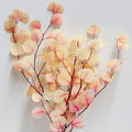 Gradient White & Pink