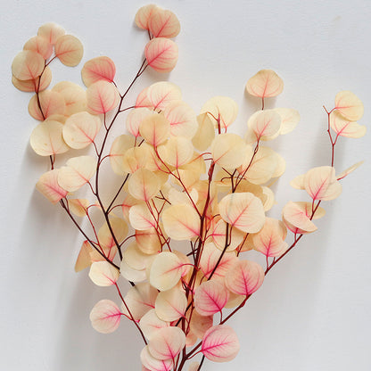 Gradient White & Pink