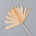 Light Orange
