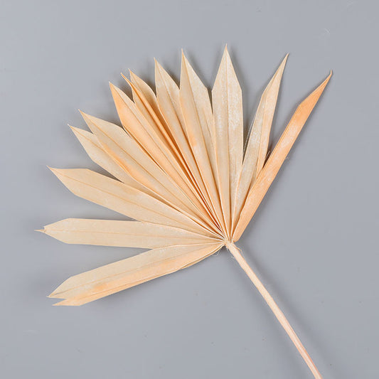 Light Orange