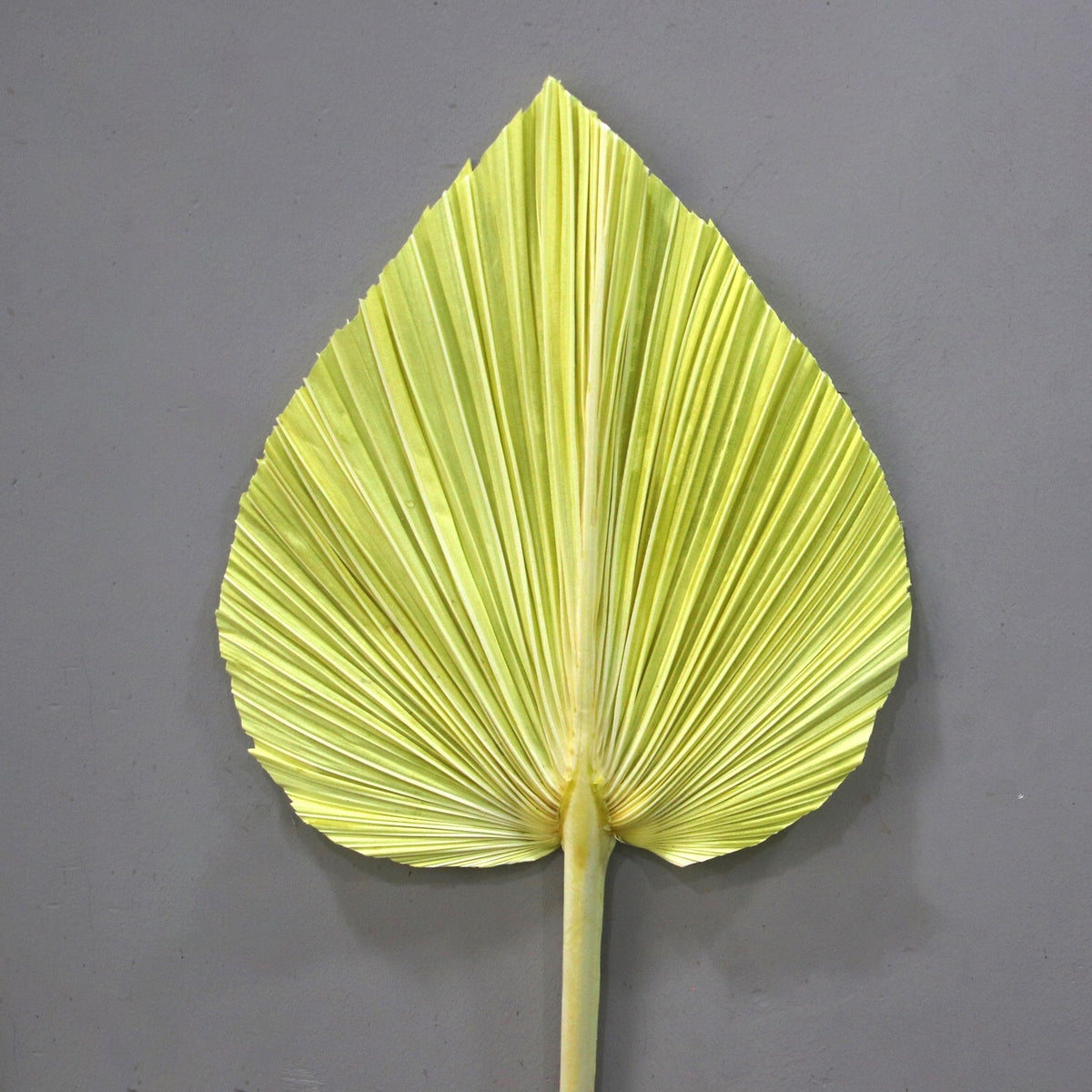 Yellow Green