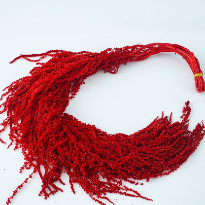 red preserved Amaranthus