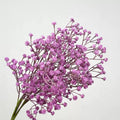 Artificial baby's breath purple