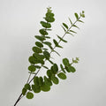 green artificial dollar gum eucalyptus