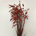 autumn orange preserved flower northern sea oat grass