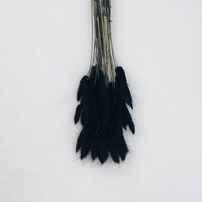 black bunny tail