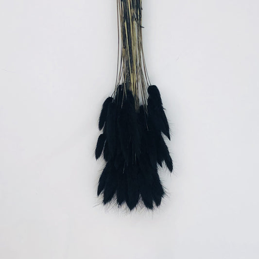 black bunny tail