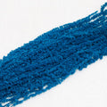 blue Amaranthus