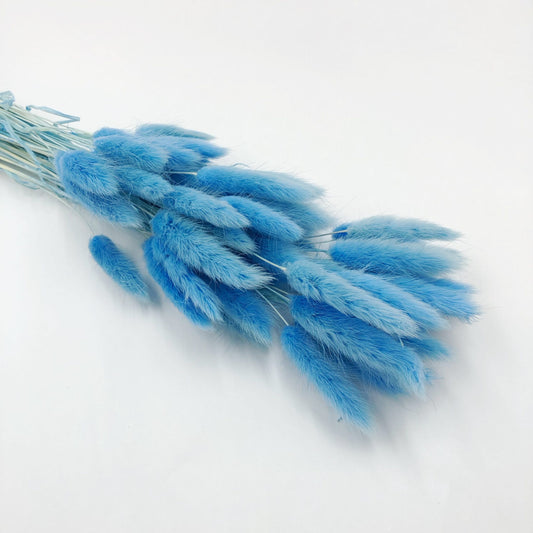 blue bunny tail 2