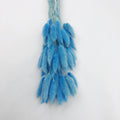 blue bunny tail