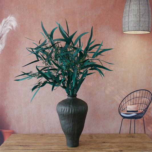 Blue Eucalyptus Nicolii