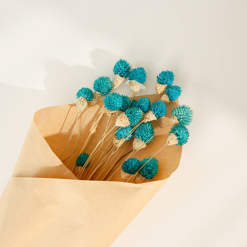 blue dried Gomphrena