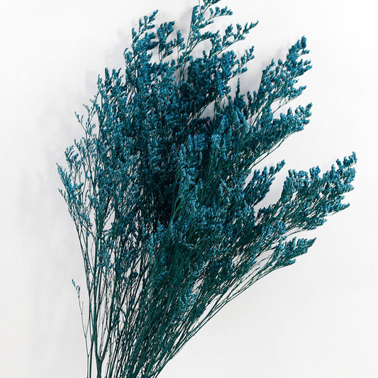 blue love grass