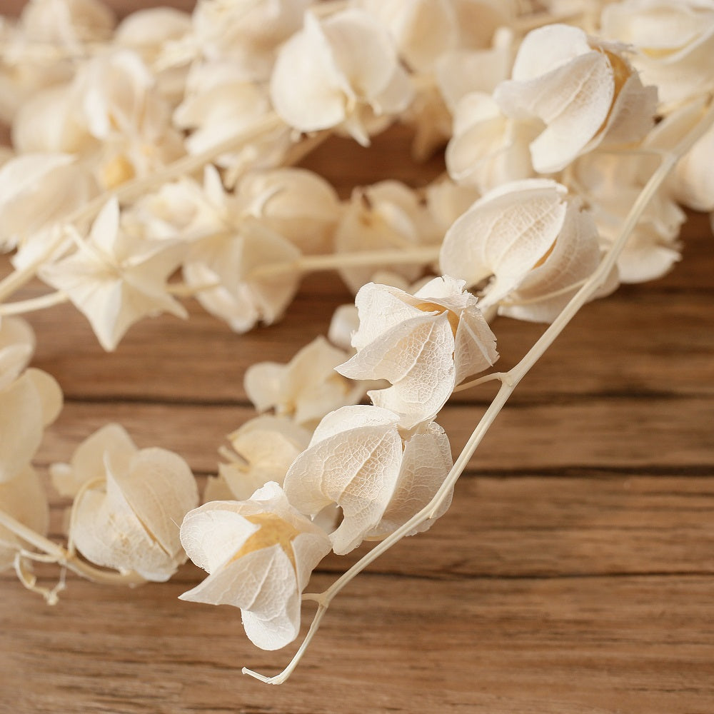 White Preserved Bougainvillea