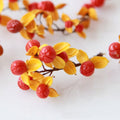 Dried Fruit Celastrus Orbiculatus
