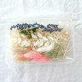 Dried flower heads for crafting