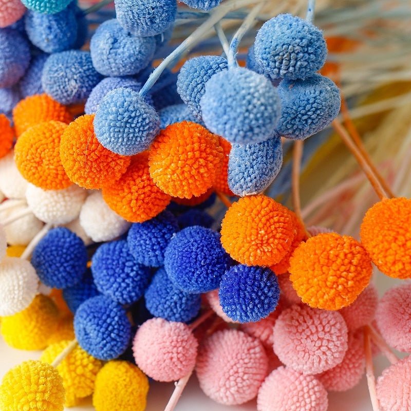 ball flower