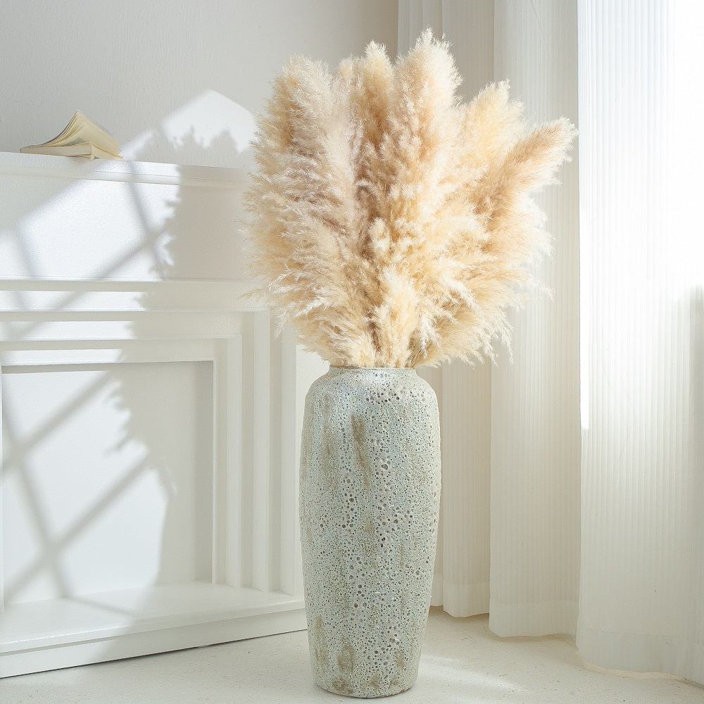 cream pampas grass