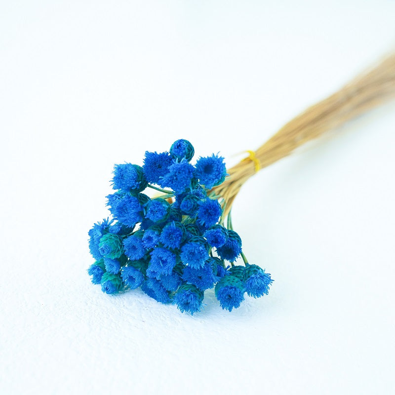 diamond blue Chamomile Daisy
