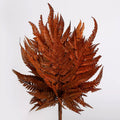 dried bracken ferns burnt orange