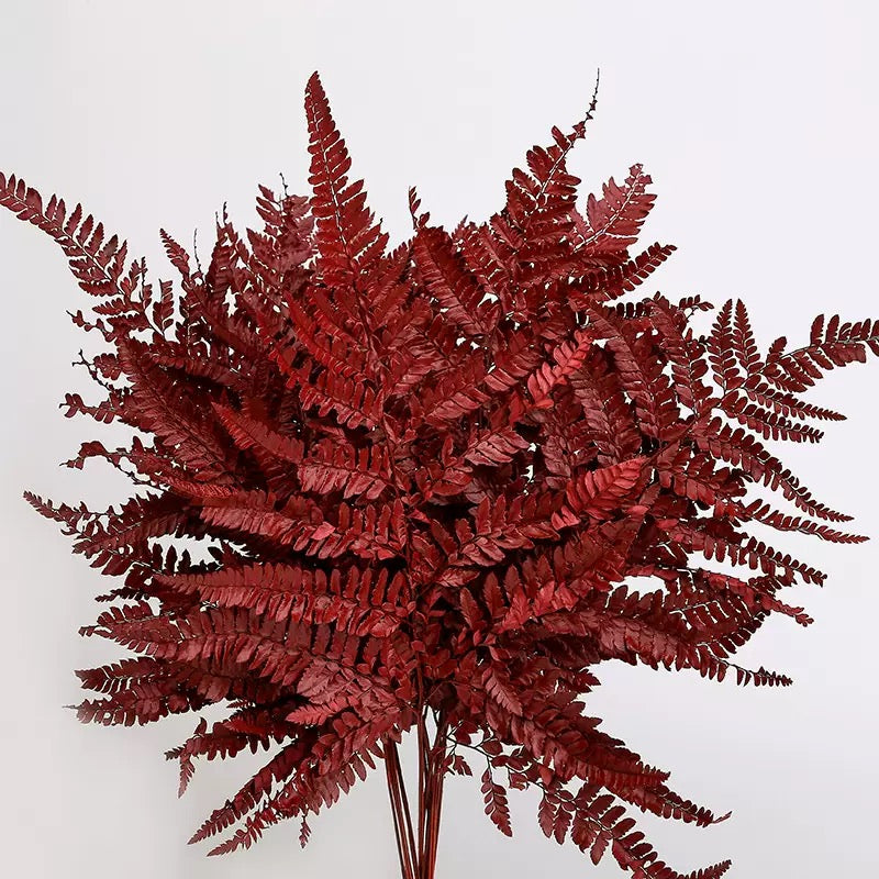 dried bracken ferns red