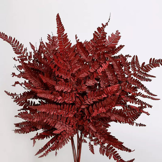 dried bracken ferns red