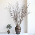 natural brown dried birch twigs