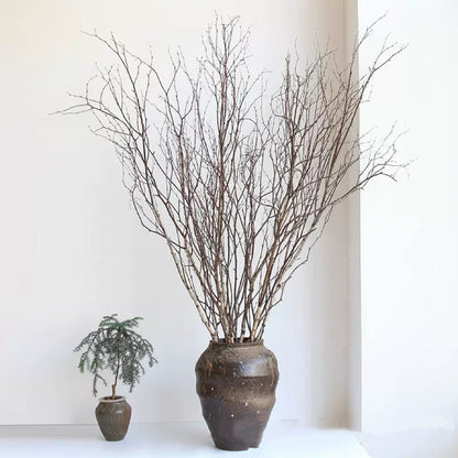 natural brown dried birch twigs