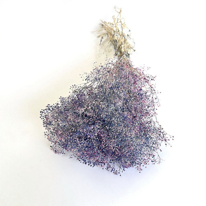 Dried Broom Bloom Gradient Purple