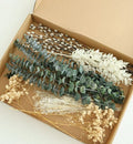 Dried flower kit box
