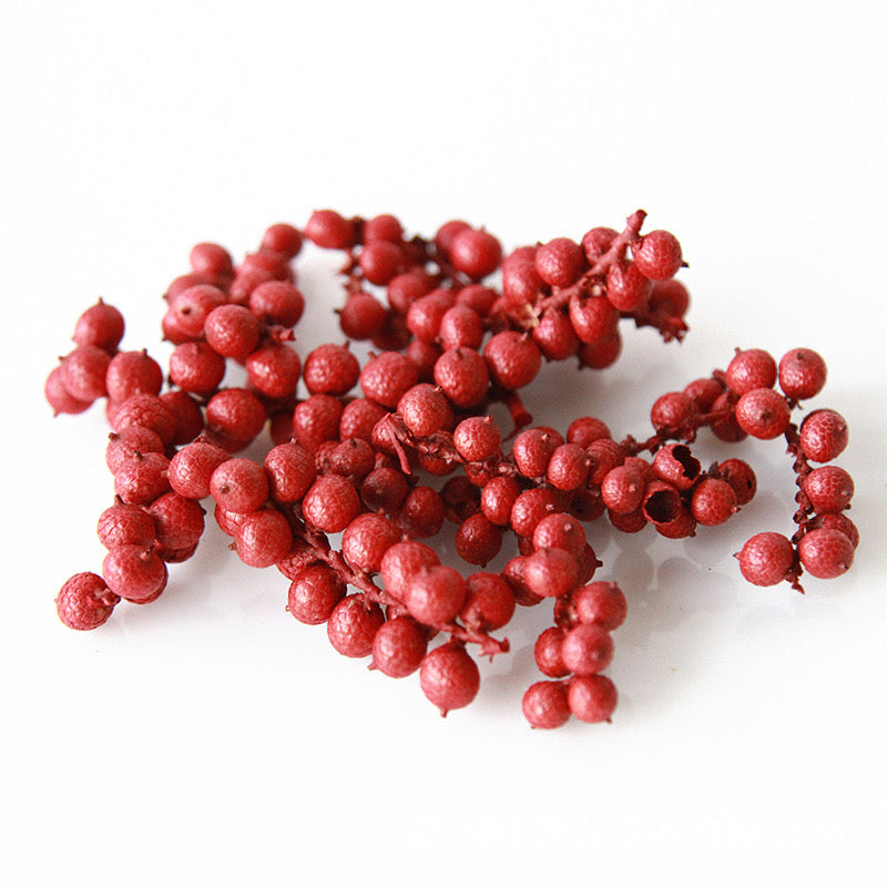 Dried Fruit Canella Berries