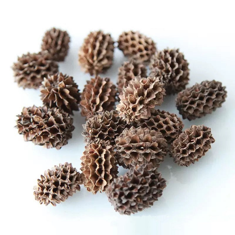 dried fruit black seeds