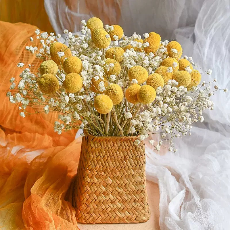 Dried Globosa Benth bouquet