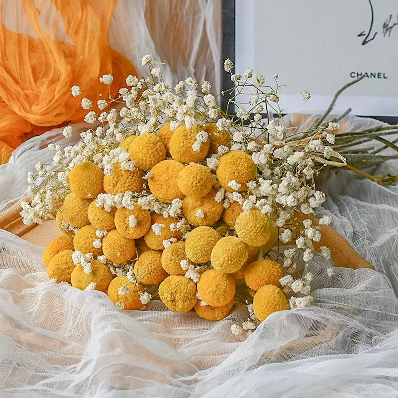 Dried Globosa Benth bouquet