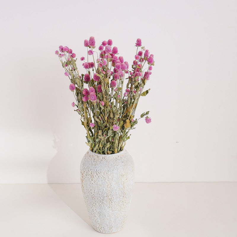 Dried Gomphrena Flower Natural Pink