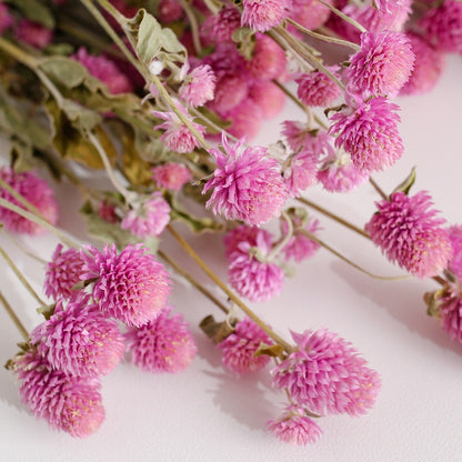Dried Gomphrena Flower Natural Pink