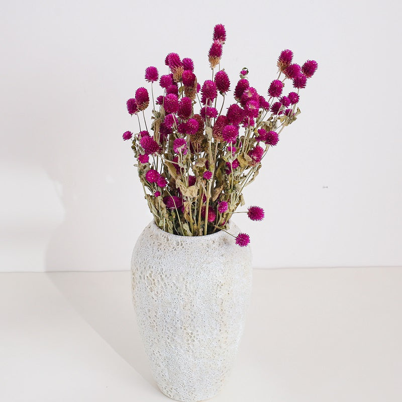 Dried Gomphrena Flower Natural Purple