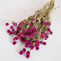 Dried Gomphrena Flower Natural Purple