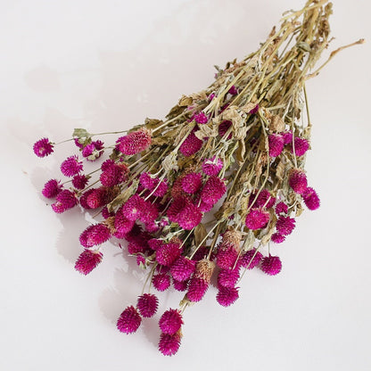 Dried Gomphrena Flower Natural Purple