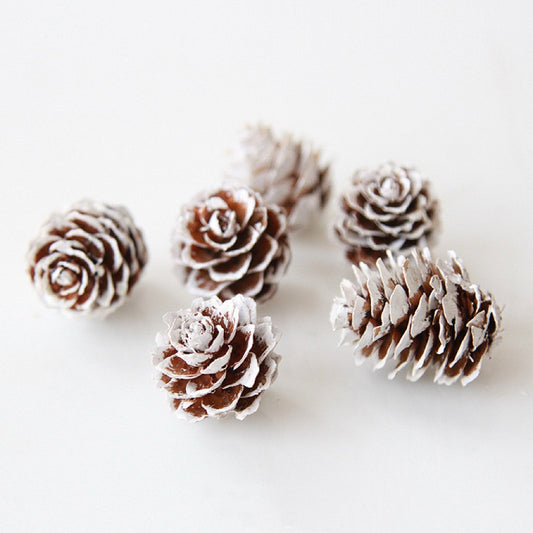 Dried Mini Pine Cones