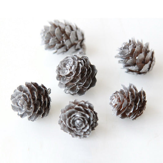 Dried Pine Cones Silver