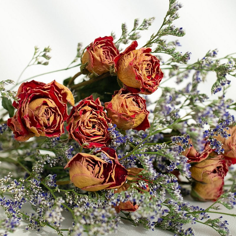 dried pink roses
