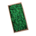 emerald green preserved moss