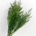 emerald love grass